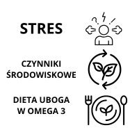 STRES.png